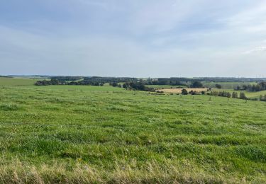 Tocht Stappen Bertogne - 40.069 Renuamont - Givroulle - Photo