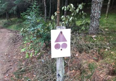Tour Wandern Ambrugeat - Corrèze Ambrugeat - Photo