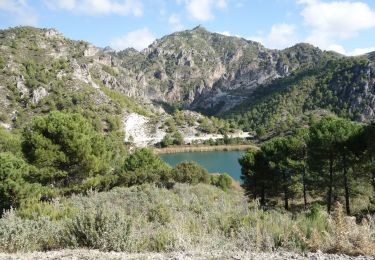 Trail Walking Otívar - 1er novembre 2017 Roi Verde - Photo