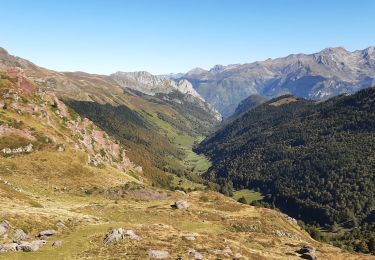 Percorso Marcia Borce - Boucle du lac d'Arlet  - Photo