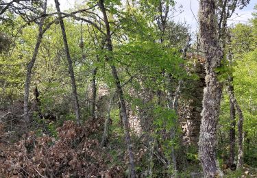 Trail Walking Gréoux-les-Bains - Les Tronnes  - Photo