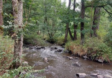 Trail Walking Saint-Paulien - Autours du château de la Rochelambert - Photo