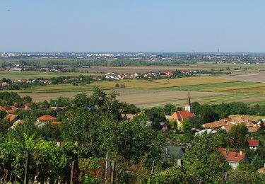 Trail On foot Győrújbarát - K■ Győrújbarát - Photo