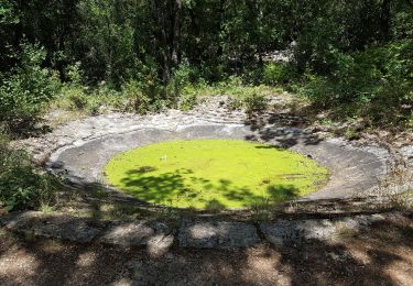 Trail Walking Laroque - Laroque - Avens, menhir - Rocher du Pin - Photo