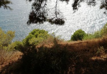 Trail Walking Salobreña - Depuis l'hotel Salobrena, Costa Aguilera, El pargo et  Salobreña  - Photo