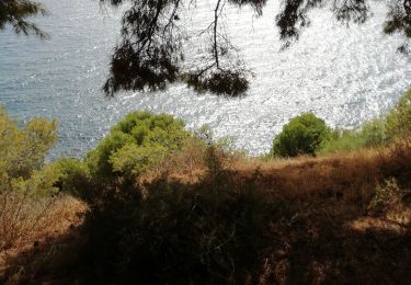 Tour Wandern Salobreña - Depuis l'hotel Salobrena, Costa Aguilera, El pargo et  Salobreña  - Photo