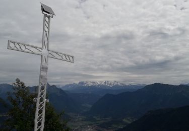 Tocht Stappen Bellecombe-en-Bauges - La croix du Roy  - Photo