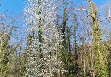 Tour Wandern Amenucourt - Amenucourt - La Roce-Guyon - Photo