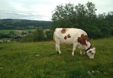 Tocht Stappen Péseux - Péseux 18 juin 2019 CAF - Photo