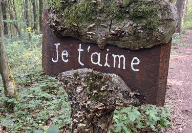 Percorso Marcia Montigny-le-Tilleul - Balade coll du dimanche - Photo