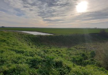 Trail Walking Les Moutiers-en-Retz - Marais de Bouin et Polder de la Coupelasse - Photo