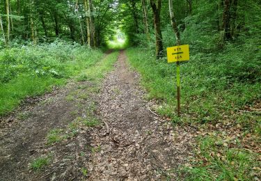 Excursión Bici de montaña Vouthon-Haut - Les Chemins d'Isabelle P1 25 Km - Photo