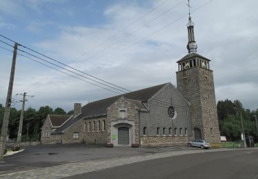 Tour Zu Fuß Tenneville - 11. Promenade de la Noire Virée - Photo