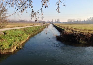 Trail On foot Vigevano - Gran Giro della Sforzesca - Photo