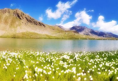 Randonnée Marche Freissinières - Lac de Palluel, Faravel et Fangeas Via Dormillouse - Photo