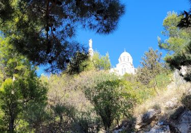 Tocht Stappen Marseille - Marseille ville Notre Dame de la Garde - Photo