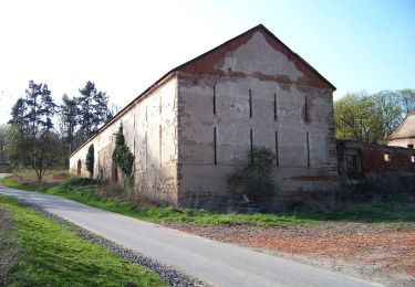 Randonnée A pied Kostelec u Křížků - [Z] Lojovice - Kostelec u křížků - Photo