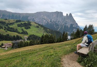 Trail Walking Kastelruth - Castelrotto - Seiser Alm - Puflatsch Rundweg zu den Hexenbänken - Photo