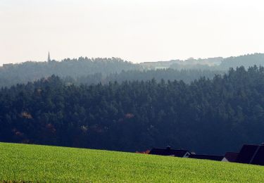 Percorso A piedi Haundorf - Fränkisches Seenland - Photo