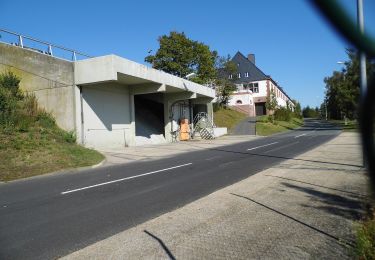 Percorso A piedi Idstein - Rund um den Hexenturm - Photo