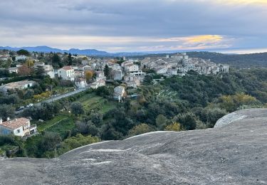 Randonnée Marche Tourrettes-sur-Loup - Tourrettes : Pic et Puys déc 2024 - Photo