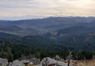 Tocht Stappen Soultzeren - 2022-12-27 Marche Soultzeren Lac Forlet Hautes Huttes Glasborn - Photo