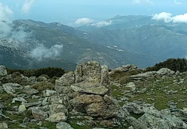 Trail Walking Pietracorbara - monte alticcione  - Photo