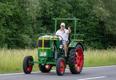 Percorso A piedi Ebern - Lauftour EBN4 - Photo