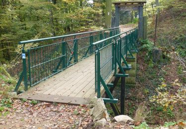 Tocht Te voet Seeheim-Jugenheim - Rundwanderweg 3: Sachsenberg - Weg - Photo