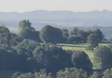 Tocht Stappen Verneuil-sur-Vienne - la Merlie - Photo