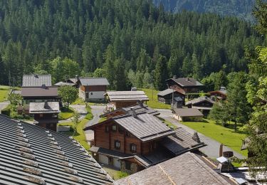 Tour Wandern Chamonix-Mont-Blanc - Montroc à Vallorcine  - Photo