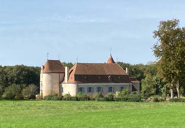 Trail sport Argenton-sur-Creuse - Sob 17 argenton le menoux - Photo