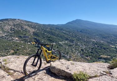 Percorso Mountainbike Mormoiron - Valcombe et balcon du Ventoux - Photo