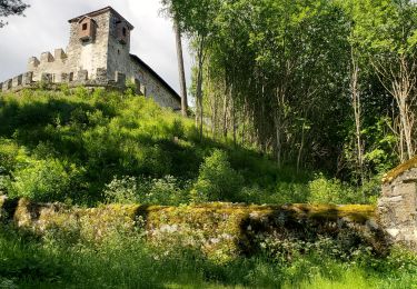 Trail Walking Bruneck - Brunico - 512m 8.5k - Photo