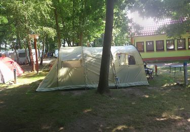 Percorso A piedi Schwielowsee - Pirschheide - Baumgartenbrück - Photo