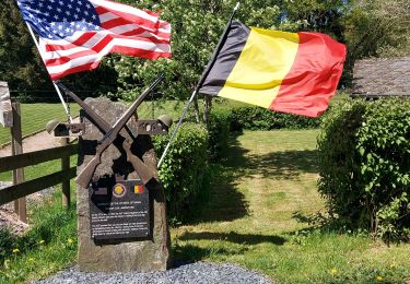 Tour Wandern Vielsalm - Ennal 110522 - Photo