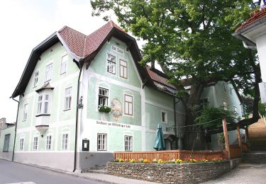 Tour Zu Fuß Gemeinde Kirchberg am Wechsel - Wanderweg Saurücken - Photo