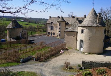 Randonnée Marche Saint-Bonnet-près-Orcival - Les Rives de la Sioule  - Photo