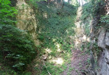 Tocht Stappen Riemst - montagne saint Pierre sud par les petits chemins - Photo