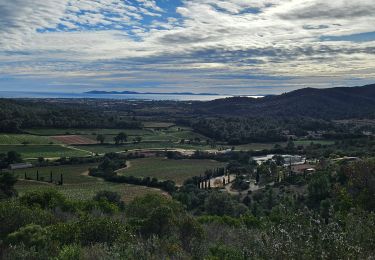 Trail Walking La Londe-les-Maures - Dolmen de Gaoutabry et balade dans les Maures - Photo