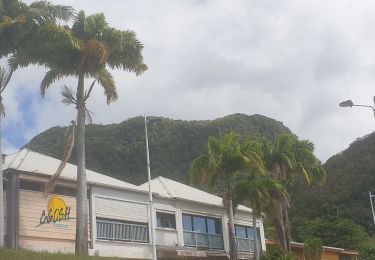 Excursión Senderismo Gourbeyre - Boucle du Morne Cadet - Photo