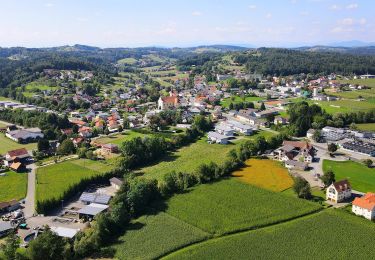 Percorso A piedi Heiligenkreuz am Waasen - Ermutigungsweg - Photo