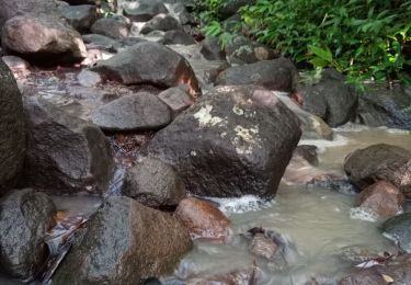 Randonnée Marche Anse d'Arlet - Cap Salomon - Photo