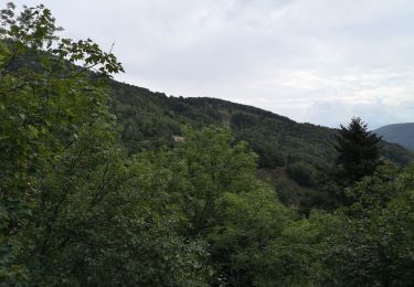 Tour Wandern Sewen - lac d'Alfeld - Photo