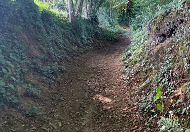 Trail Walking Saint-Pois - Tours de la vallée de la sée - Photo