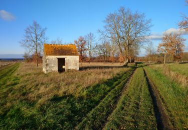 Trail Walking Saint-Georges-sur-Cher - Saint-Georges-sur-Cher - les Magasins Montfourgon le Moulin du Porteau - 10km 110m 2h25 - 2021 01 02 - Photo