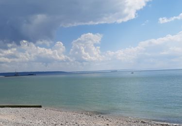 Randonnée Marche Le Havre - 20220623-Le havre après midi - Photo