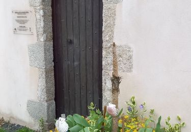 Tocht Stappen Montaigu-Vendée - Montaigu - Pont Lege - Photo