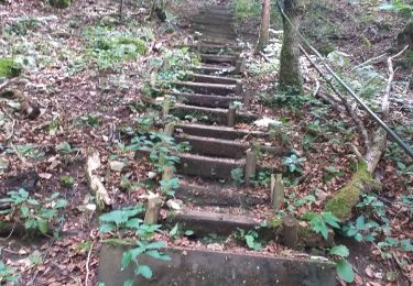 Trail Walking Flagey - Flagey  - Photo
