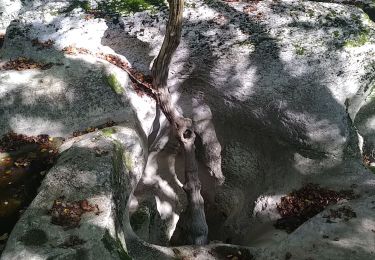 Randonnée Marche Valromey-sur-Séran - lompnieu - Photo